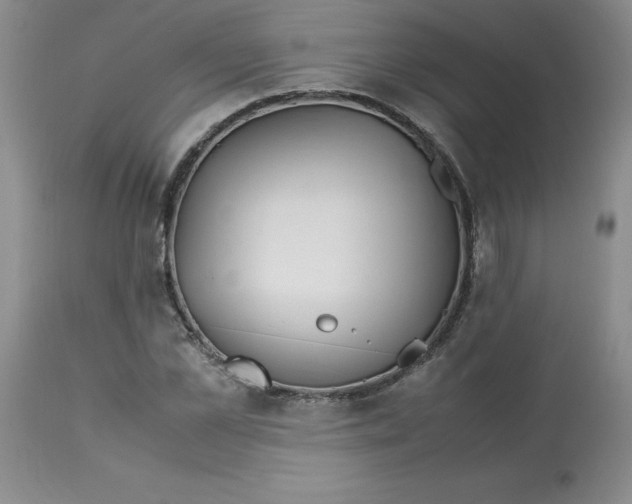 X0000113150973200909251324