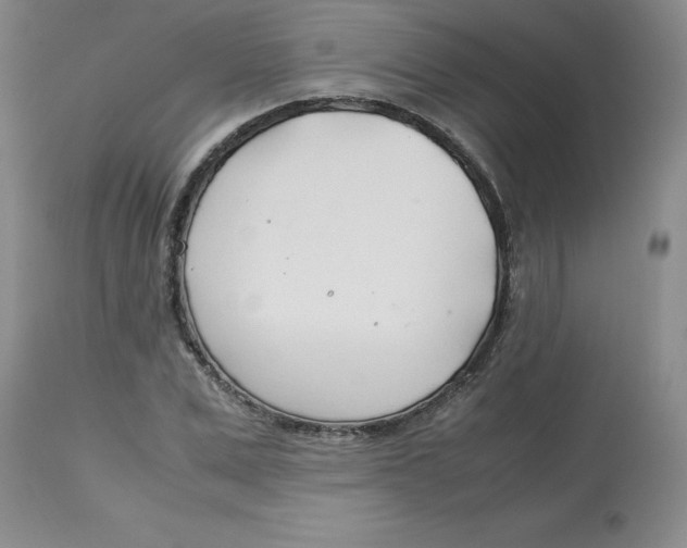 X0000113150975200909251324