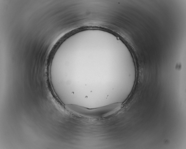 X0000113150976200909251324