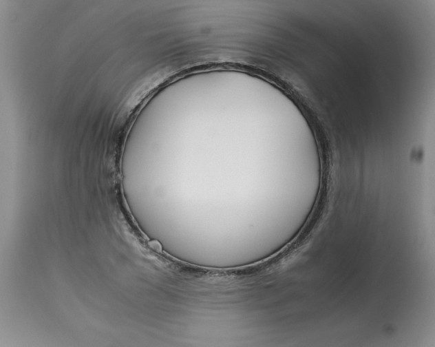 X0000113150977200909251324