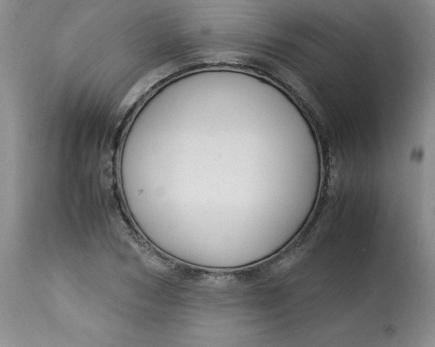 X0000113150978200909251324