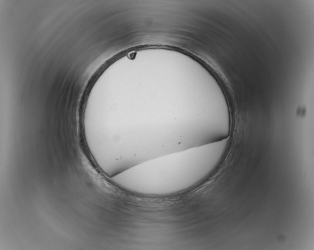 X0000113150980200909251324