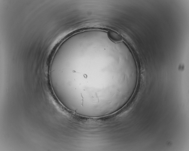 X0000113150981200909251324