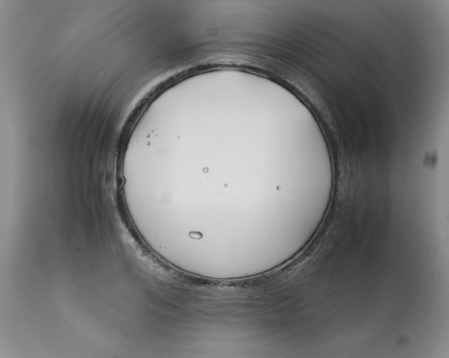 X0000113150984200909251323