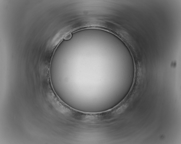 X0000113150985200909251323