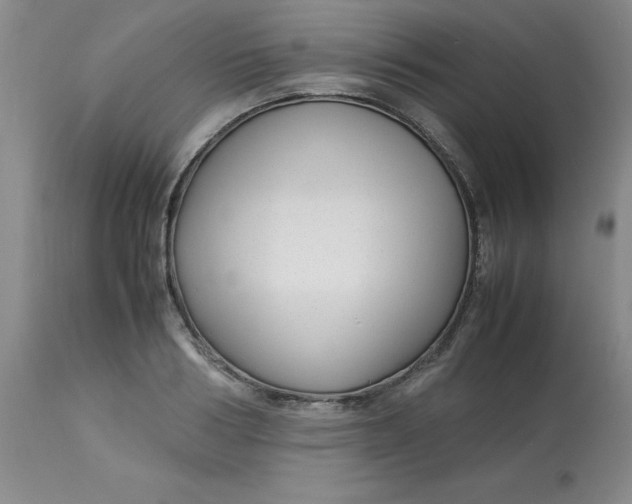 X0000113150986200909251323