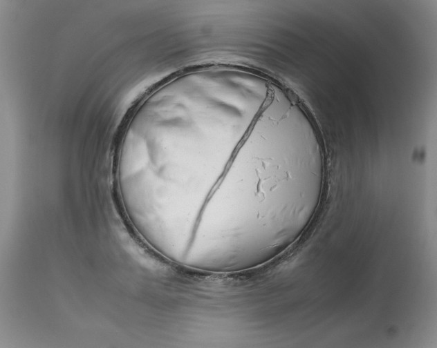 X0000113150987200909251323