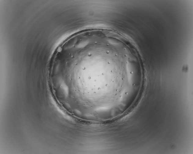 X0000113150989200909251323