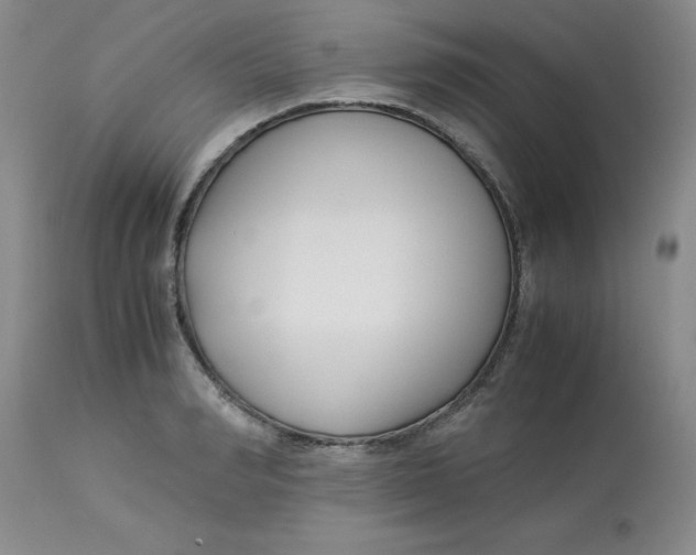 X0000113150990200909251323