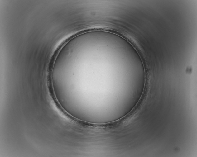 X0000113150991200909251323