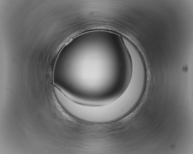 X0000113150993200909251323