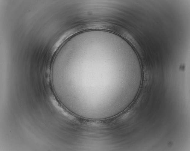 X0000113150994200909251323