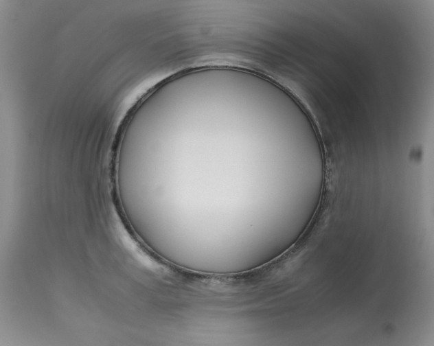 X0000113150995200909251323