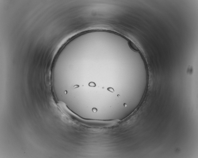 X0000113150996200909251323