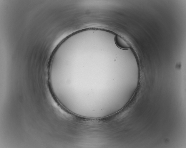 X0000113150999200909251323