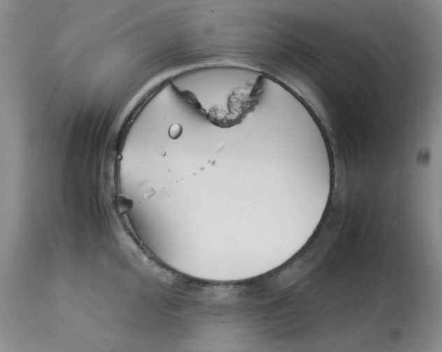 X0000113151000200909251323