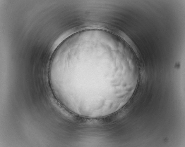 X0000113151002200909251323