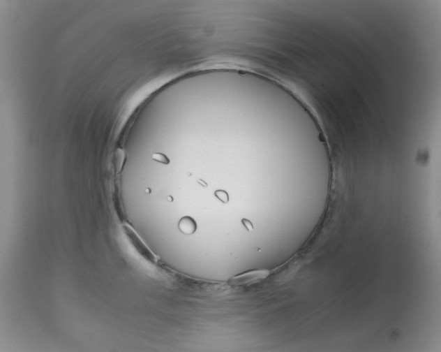 X0000113151003200909251323