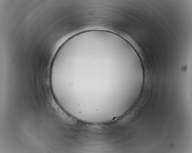 X0000113151004200909251323