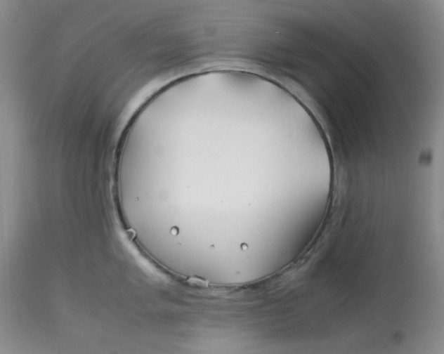 X0000113151005200909251323