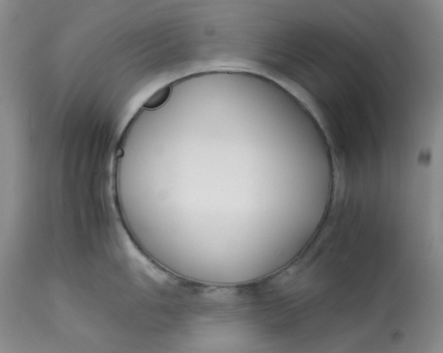 X0000113151006200909251323