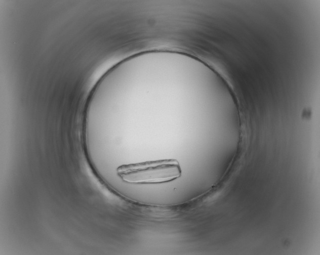 X0000113151007200909251323