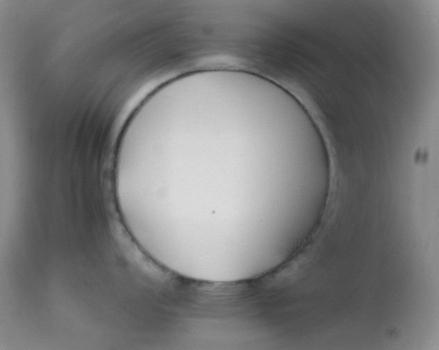 X0000113151008200909251323