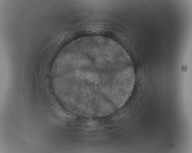 X0000113151009200909251322