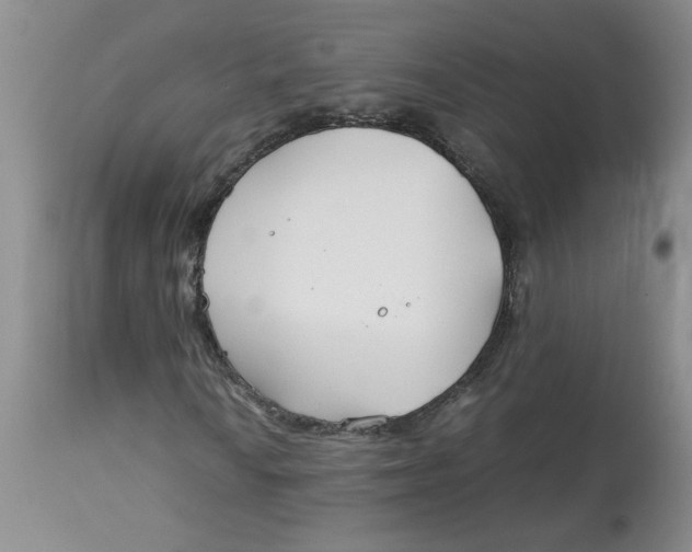 X0000113151010200909251322