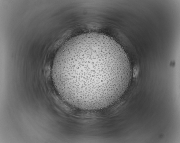 X0000113151011200909251322