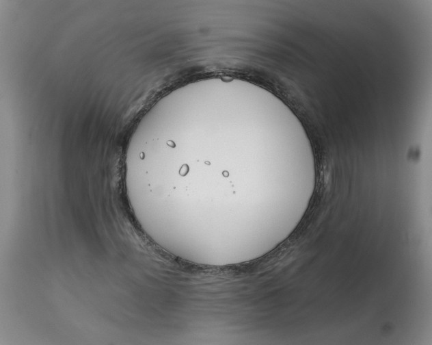 X0000113151012200909251323