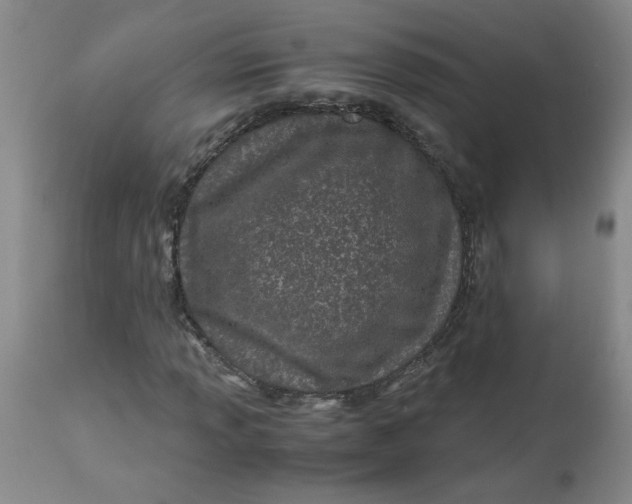 X0000113151013200909251323