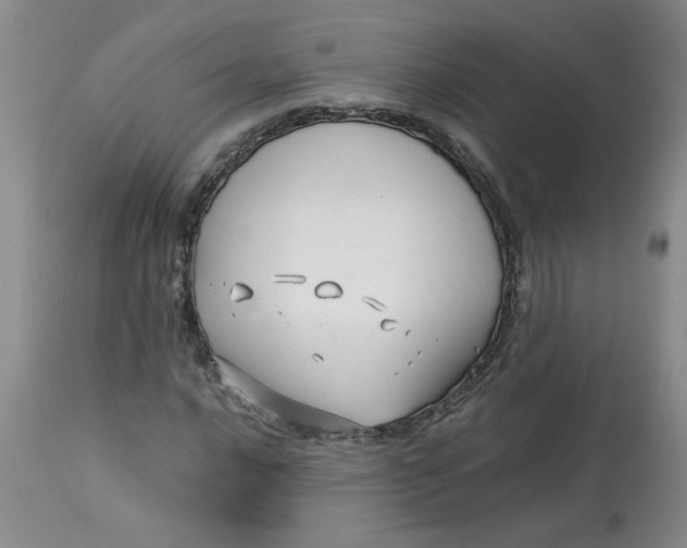 X0000113151016200909251323