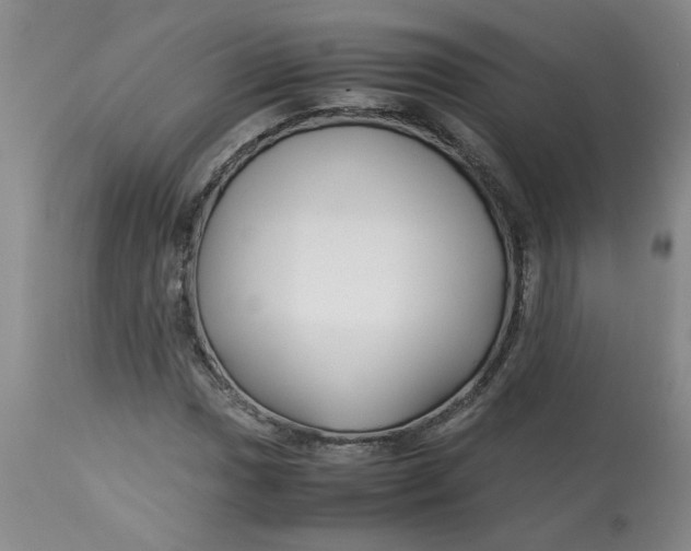 X0000113151017200909251323