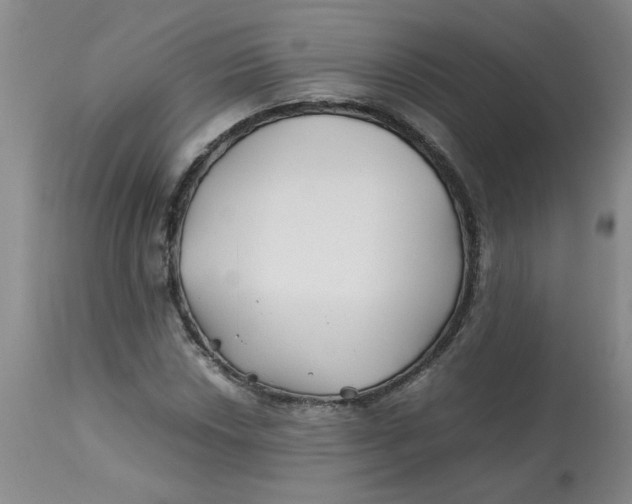 X0000113151018200909251323