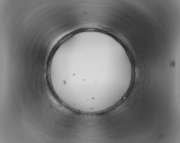 X0000113151020200909251323