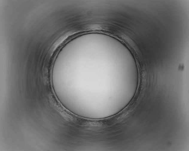 X0000113151023200909251323