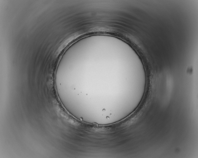 X0000113151025200909251323