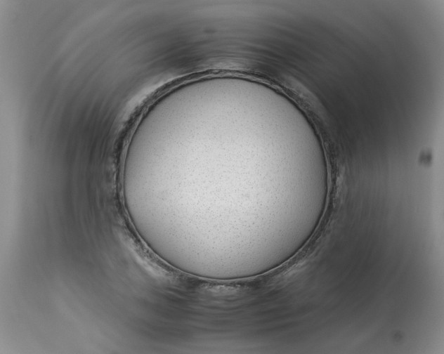 X0000113151027200909251323