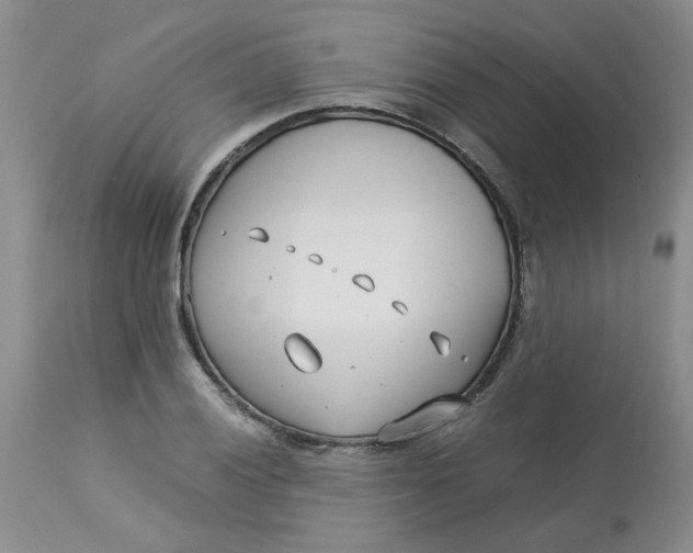 X0000113151028200909251323