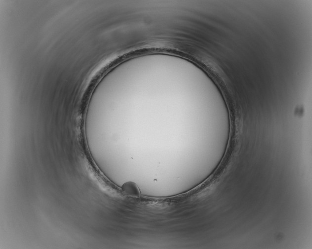 X0000113151029200909251323