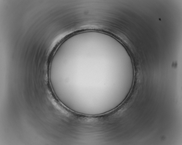 X0000113151030200909251323