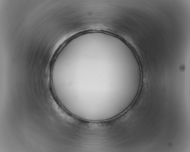 X0000113151032200909251323