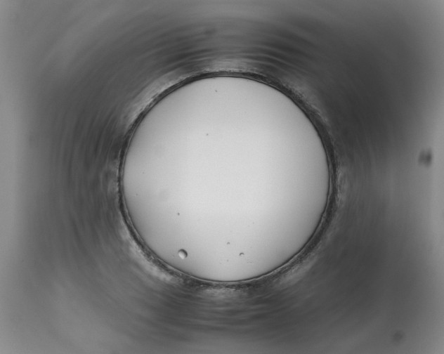 X0000113151033200909251323