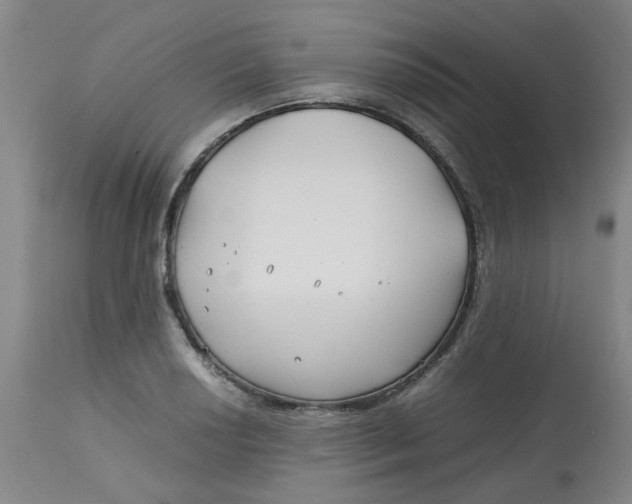 X0000113151034200909251323