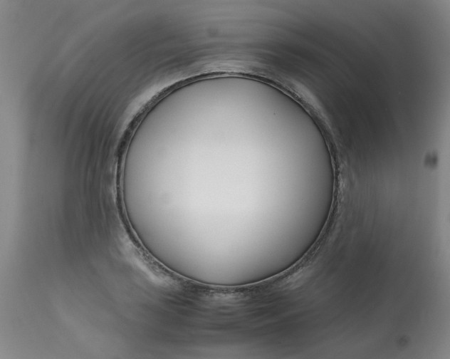 X0000113151035200909251323