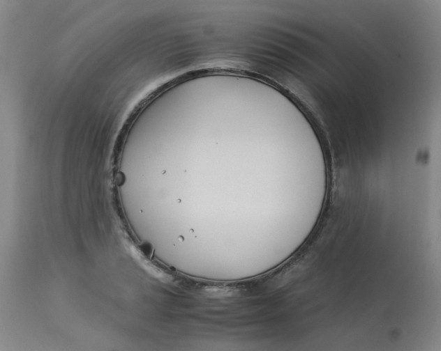 X0000113151037200909251323