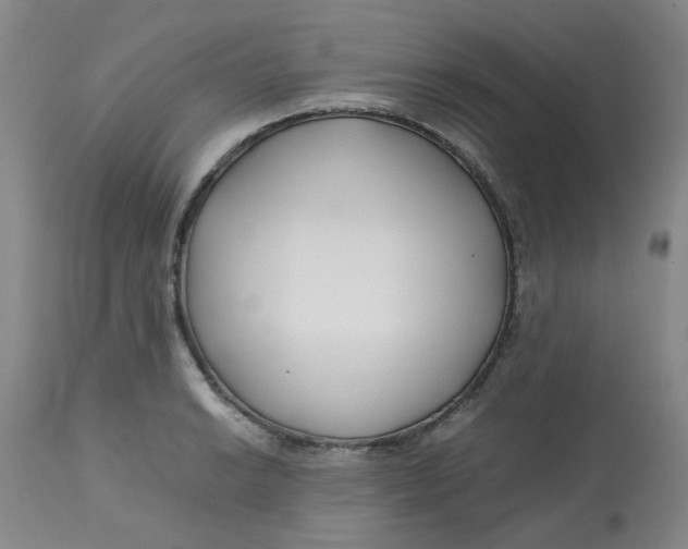 X0000113151038200909251323