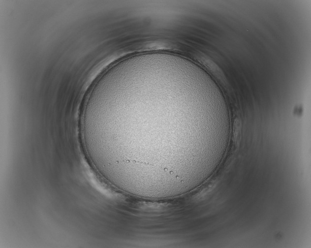 X0000113151039200909251323