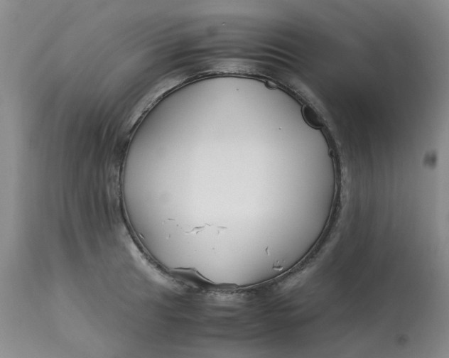 X0000113151041200909251323